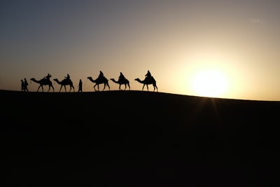 轮廓的人骑在骆驼上
